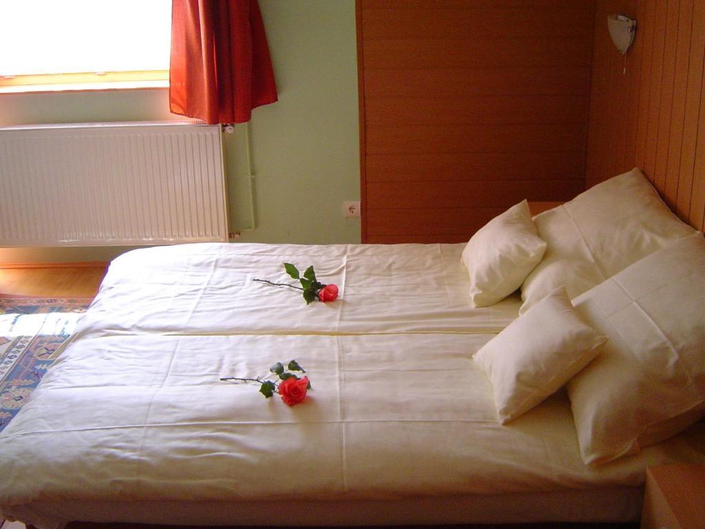 Lunczer Vendeghaz Hotel Mosonmagyarovar Bilik gambar