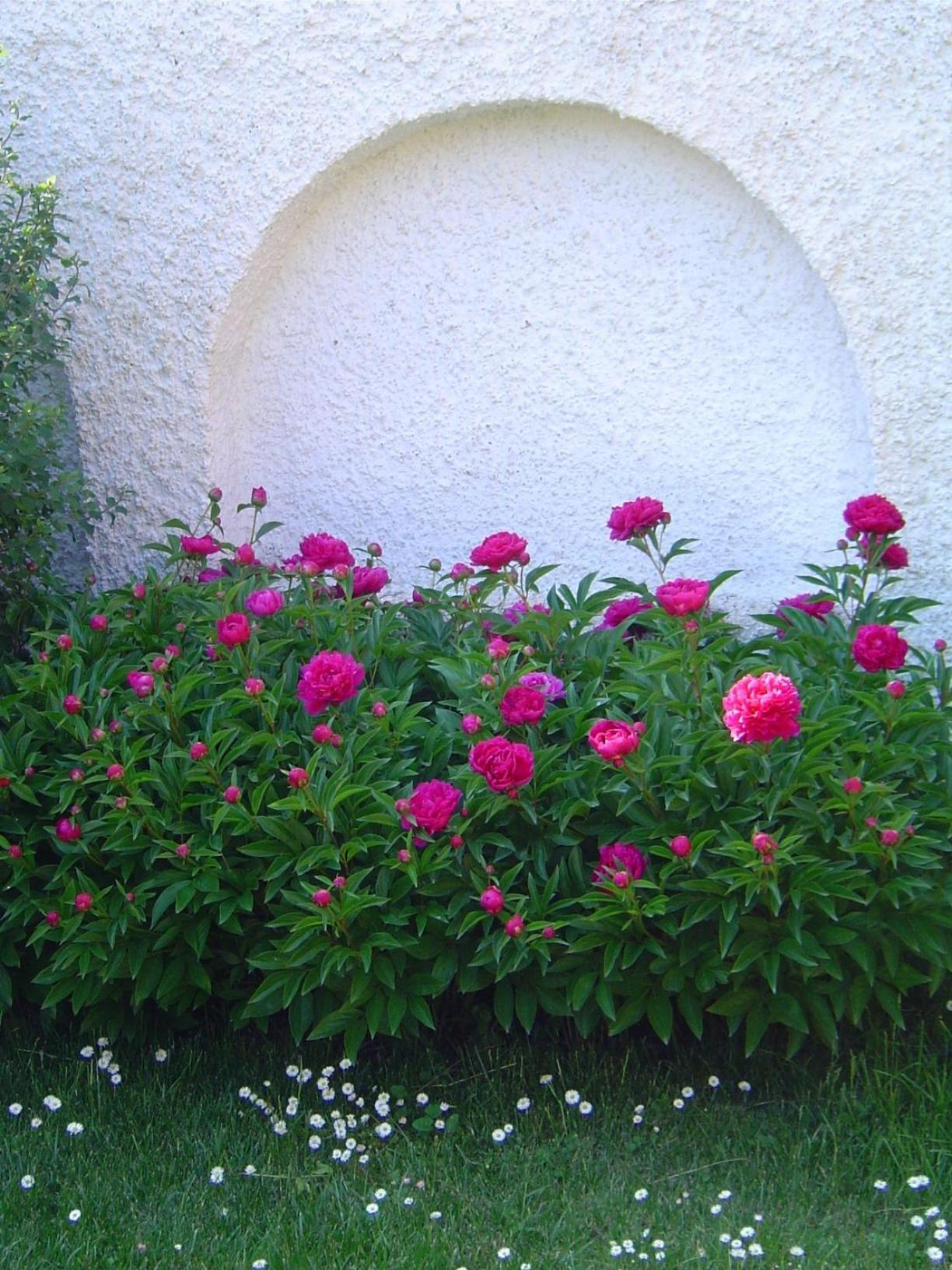 Lunczer Vendeghaz Hotel Mosonmagyarovar Luaran gambar